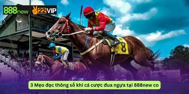 3 Mẹo đọc thông số khi cá cược đua ngựa tại 888new co