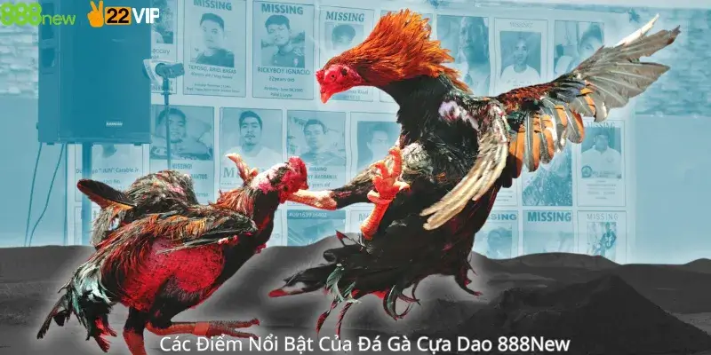 Các Điểm Nổi Bật Của Đá Gà Cựa Dao 888New