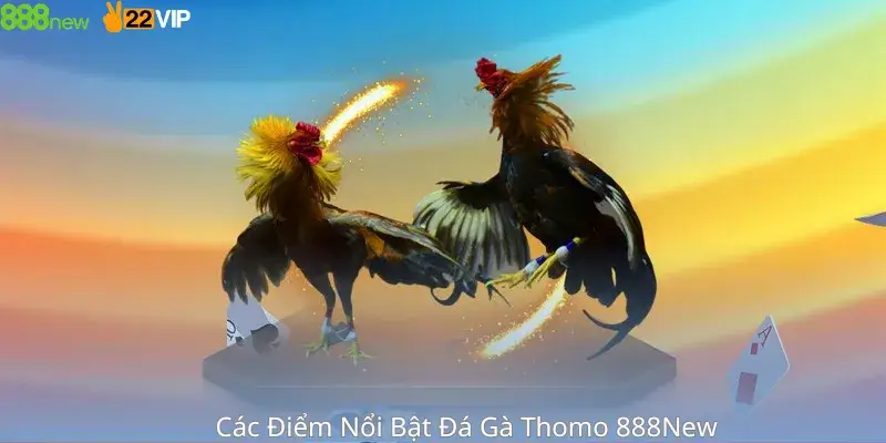Các Điểm Nổi Bật Đá Gà Thomo 888New