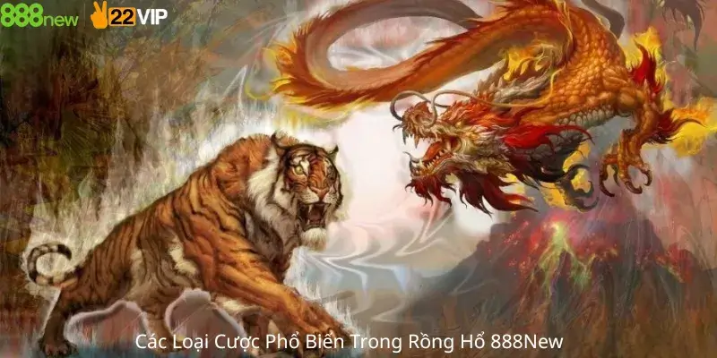 Các Loại Cược Phổ Biến Trong Rồng Hổ 888New