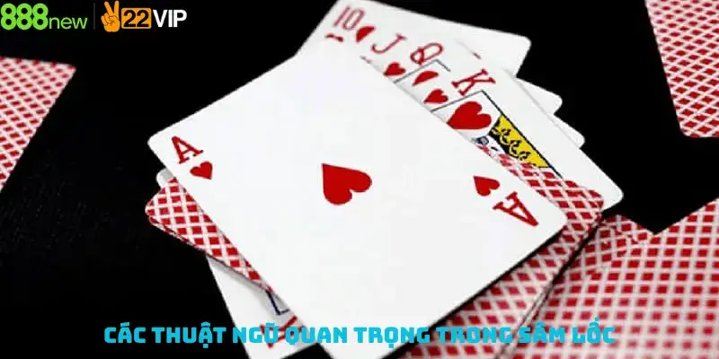 Các Thuật Ngữ Quan Trọng Trong Sâm Lốc