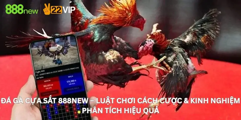 Đá Gà Cựa Sắt 888New – Luật Chơi Cách Cược & Kinh Nghiệm Phân Tích Hiệu Quả