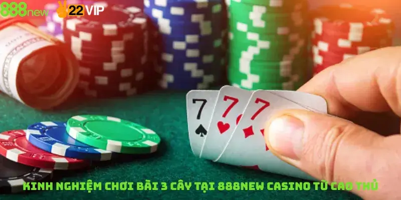 Kinh nghiệm chơi bài 3 cây tại 888new casino từ cao thủ
