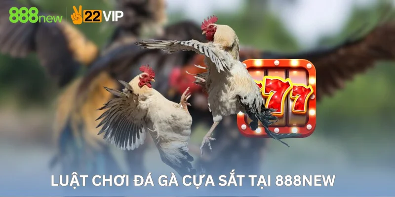 Luật chơi đá gà cựa sắt tại 888New