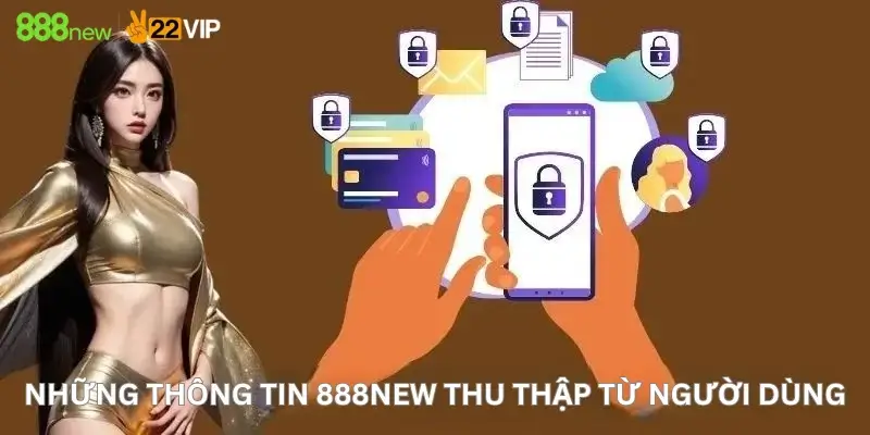 Những thông tin 888New thu thập từ người dùng