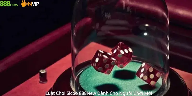 Luật Chơi Sicbo 888New Dành Cho Người Mới