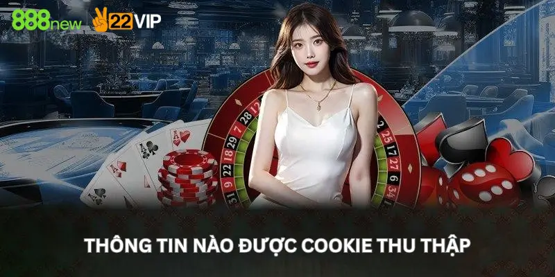Thông tin nào được cookie thu thập