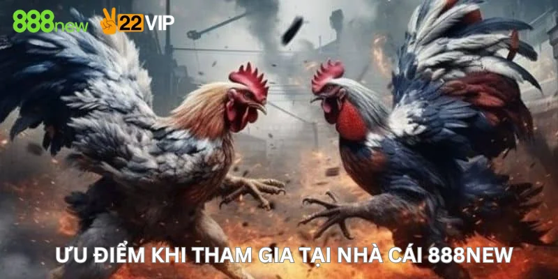 Ưu điểm khi tham gia tại nhà cái 888New