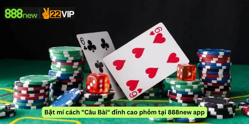 Bật mí cách "Câu Bài" đỉnh cao phỏm tại 888new app