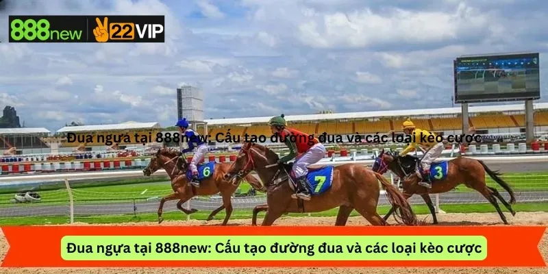 Đua ngựa tại 888new: Cấu tạo đường đua và các loại kèo cược