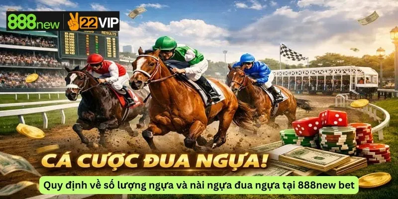 Quy định về số lượng ngựa và nài ngựa đua ngựa tại 888new bet